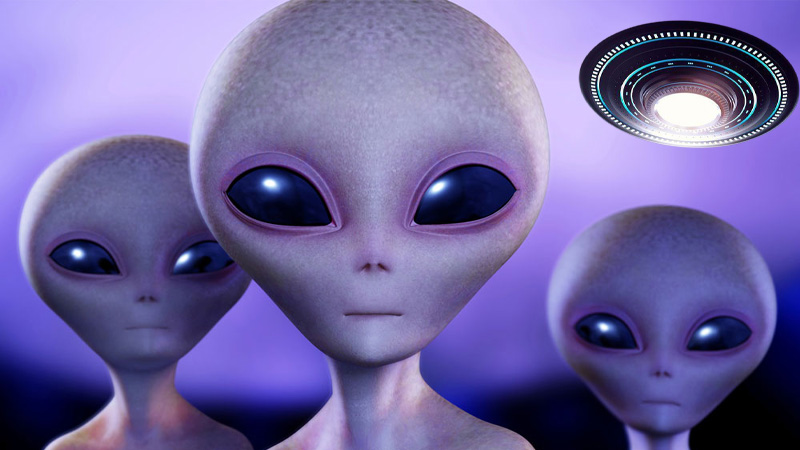 Aliens kidnapped you? Insurance has you covered