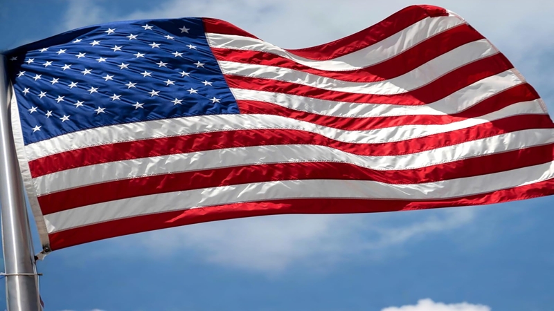 US Government involvement in insurance sector: Impacts and Dynamics