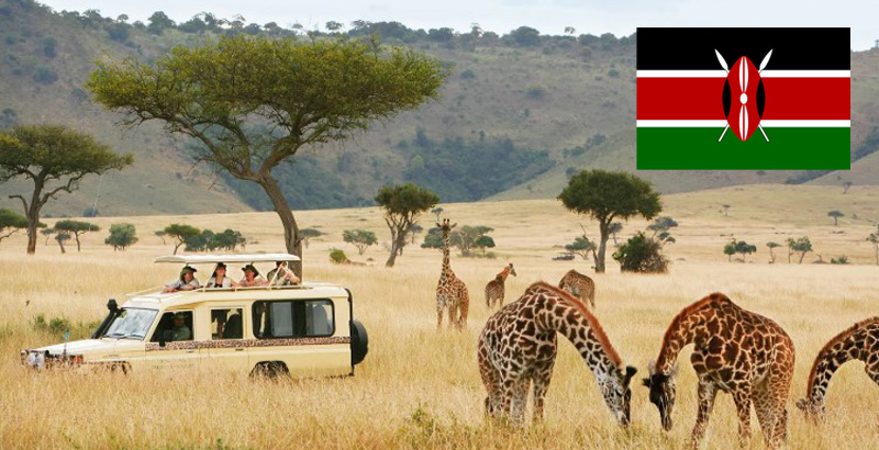 Kenyan insurance products