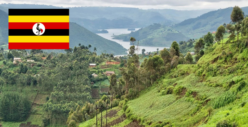 Uganda’s insurance sector shows rapid growth