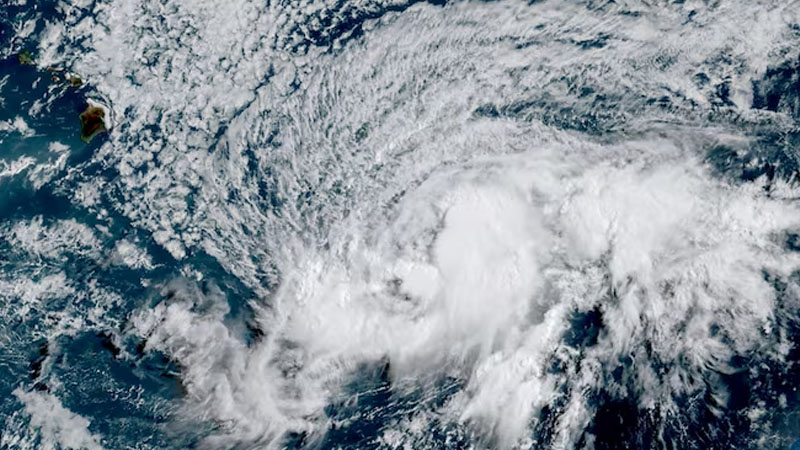 Hurricane Lala Triggers First US Coral Reef Insurance Payout